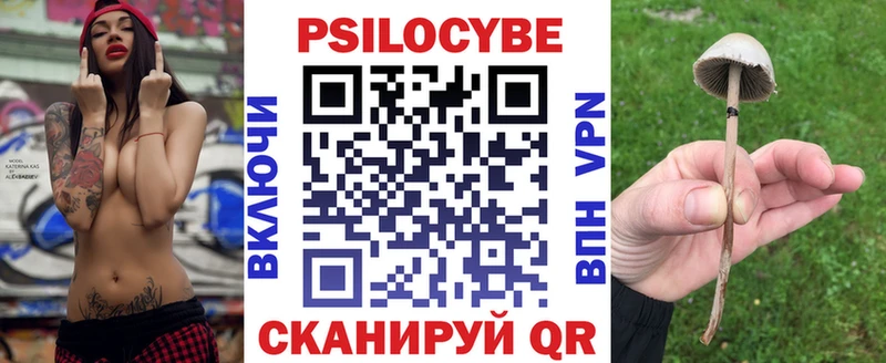 кракен зеркало  Белая Калитва  Галлюциногенные грибы Magic Shrooms 